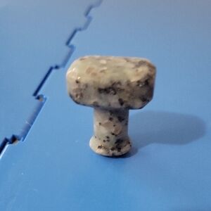 Kiwi Jasper Thors Hammer